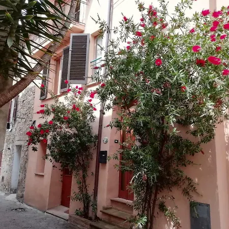 Nido Nel Cuore Di *